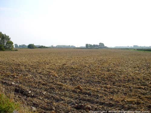 Polderlandschap NIEUWPOORT / BELGI 