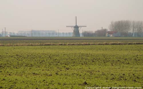 Sint-Karelsmolen (De Moeren) VEURNE / BELGI 