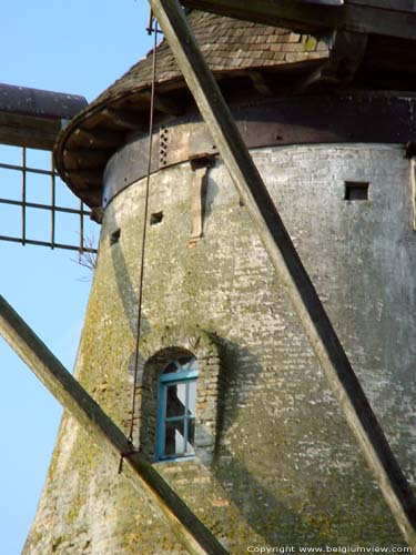 Sint-Karelsmolen (De Moeren) VEURNE foto
