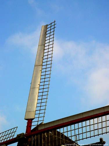 Sint-Karelsmolen (De Moeren) VEURNE foto