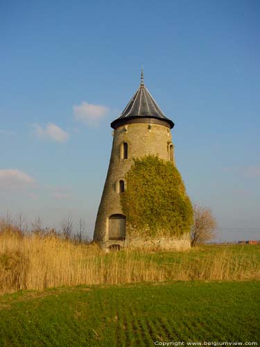 Moulin St.-Gustave VEURNE / FURNES photo 