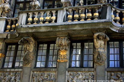 Le Renard BRUXELLES / BELGIQUE 