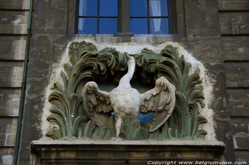 The Swan BRUSSELS-CITY / BRUSSELS picture 