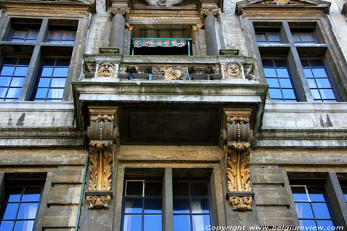 De Zwane BRUSSEL-STAD in BRUSSEL / BELGI 