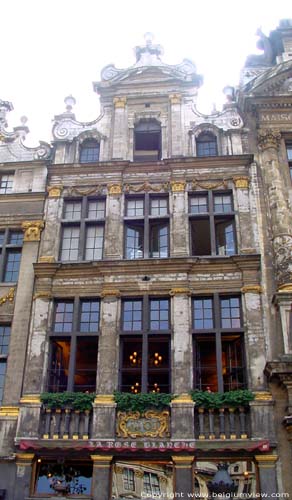 De Roos BRUSSEL-STAD / BRUSSEL foto