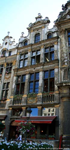 De Roos BRUSSEL-STAD / BRUSSEL foto