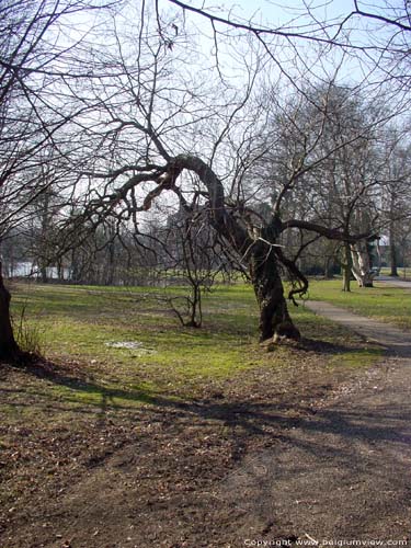 Chteau de Maurissens- Parc du UZ Pellenberg PELLENBERG  LUBBEEK / BELGIQUE 