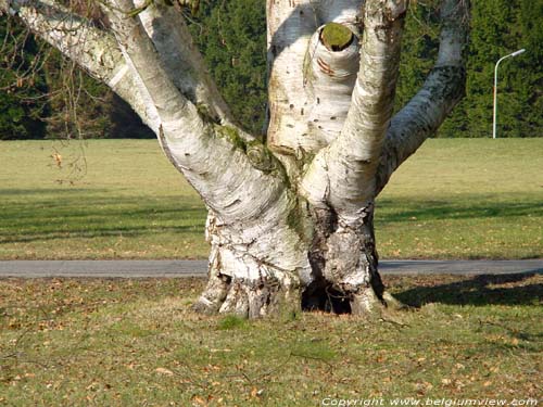 Chteau de Maurissens- Parc du UZ Pellenberg PELLENBERG  LUBBEEK / BELGIQUE 