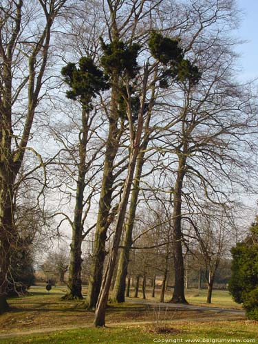 Chteau de Maurissens- Parc du UZ Pellenberg PELLENBERG  LUBBEEK / BELGIQUE 