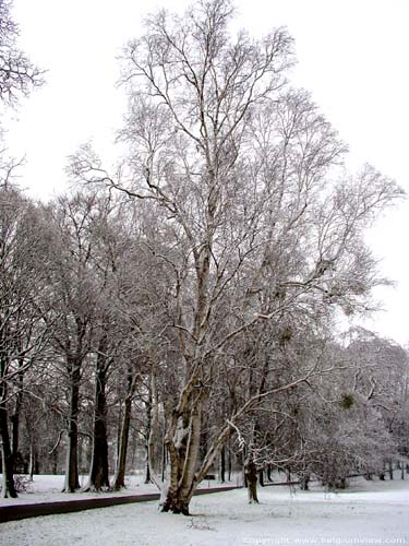 Mausissens calstle - UZ Pellenberg parc. PELLENBERG in LUBBEEK / BELGIUM 