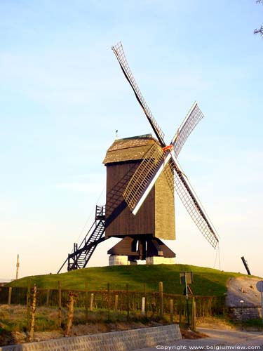 Houten windmolen (Levande Molins) te Rullegem HERZELE / BELGI 