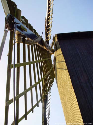 Houten windmolen (Levande Molins) te Rullegem HERZELE / BELGI 