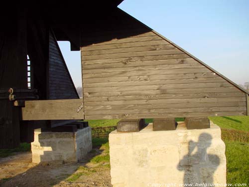 Moulin  vent de Rullegem HERZELE photo 