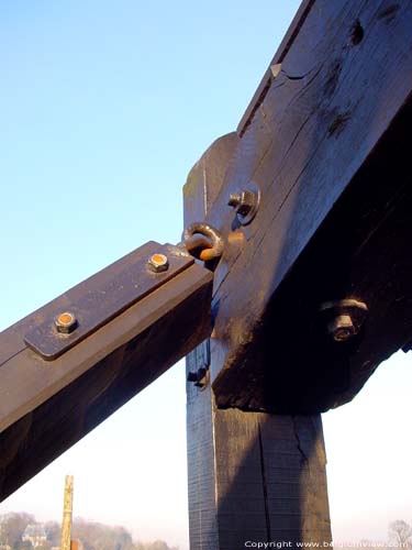 Houten windmolen (Levande Molins) te Rullegem HERZELE foto 