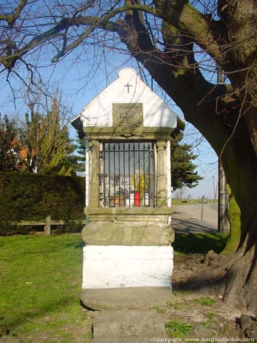 Chapel and lime-tree (in Issegem (Balegem)) OOSTERZELE picture 