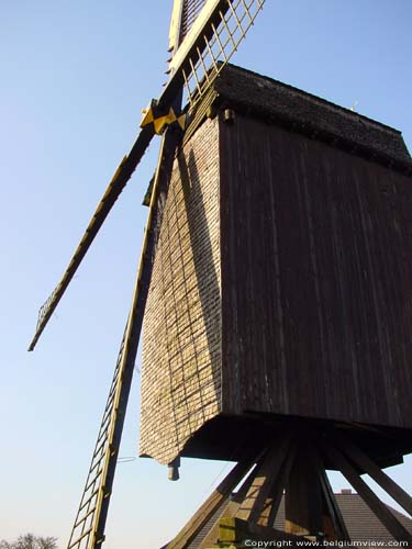 Fishers or Scheldewindeke Mill OOSTERZELE / BELGIUM 