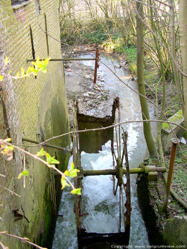 Heilandmolen SINT-LIEVENS-HOUTEM foto 