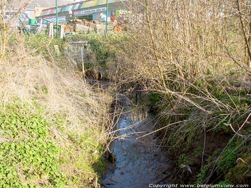 Kottembeek SINT-LIEVENS-HOUTEM picture