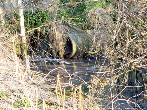 Kottembeek en riolering SINT-LIEVENS-HOUTEM / BELGI 