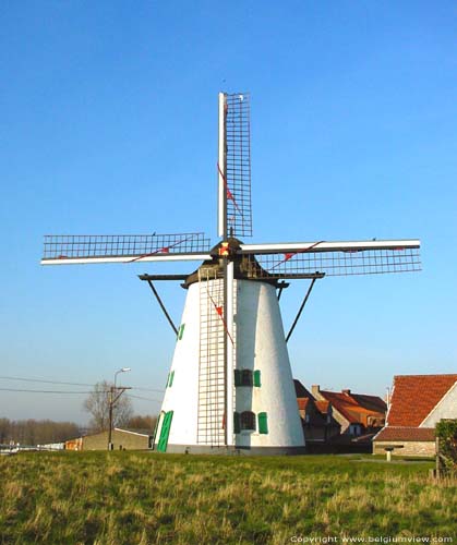 Molen Ter Rijst HERZELE / BELGI 