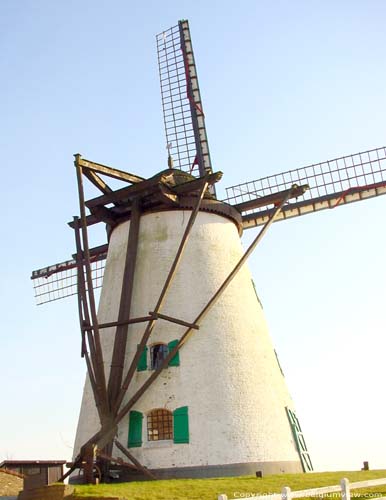 Molen Ter Rijst HERZELE foto 