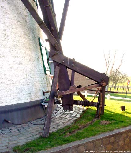 Molen Ter Rijst HERZELE foto 