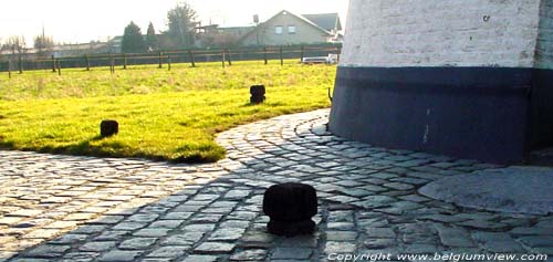 Molen Ter Rijst HERZELE foto 