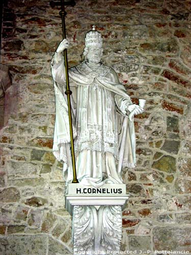 Saint-Martinschurch HERZELE picture
