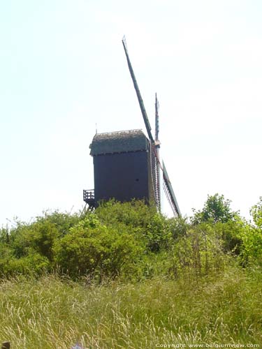 Zuid Duinenmolen of Zuid-abdijmolen KOKSIJDE / BELGI 