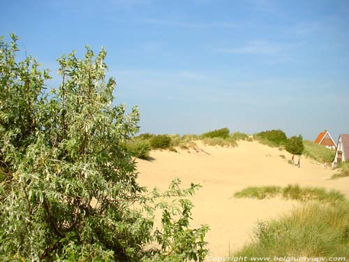 Dunes, beach and sea KOKSIJDE / BELGIUM 