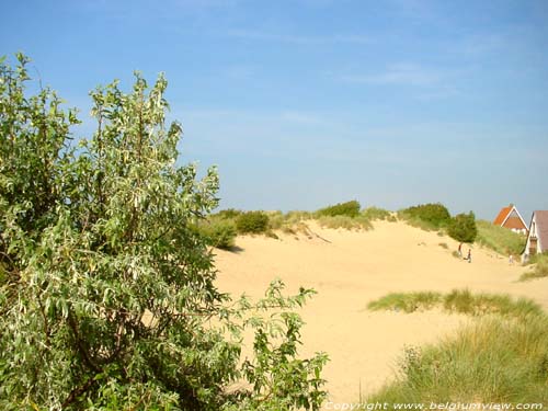 Duinen, strand en zee KOKSIJDE / BELGI 