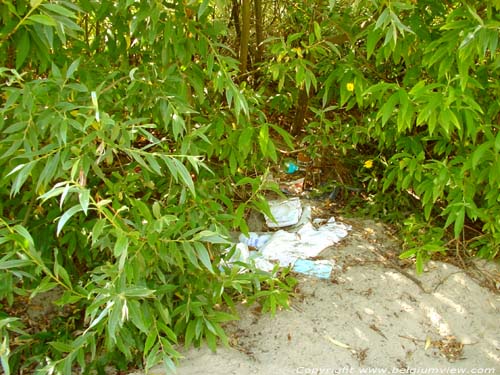 Dunes, beach and sea KOKSIJDE / BELGIUM Rubbish left in de dunes.