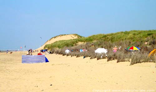 Dunes, plage et mer KOKSIJDE / BELGIQUE 