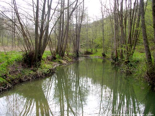 Hermeton near Vodelée VODELÉE / DOISCHE picture