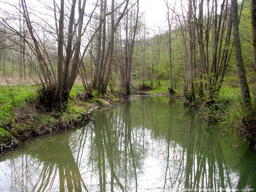 Hermeton onder Vodele VODELE / DOISCHE foto 