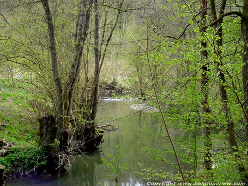 Hermeton onder Vodele VODELE / DOISCHE foto 