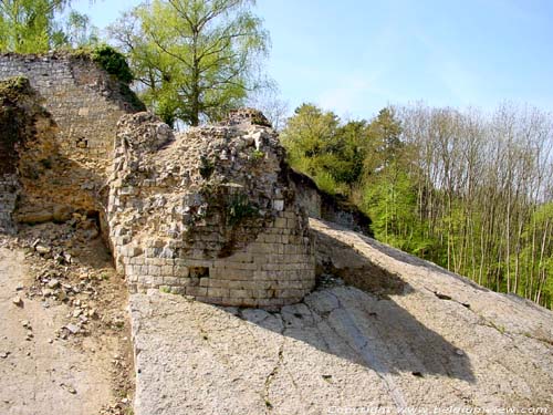 Ruines de Poilvache ( Evrehailles) NAMUR  YVOIR / BELGIQUE 