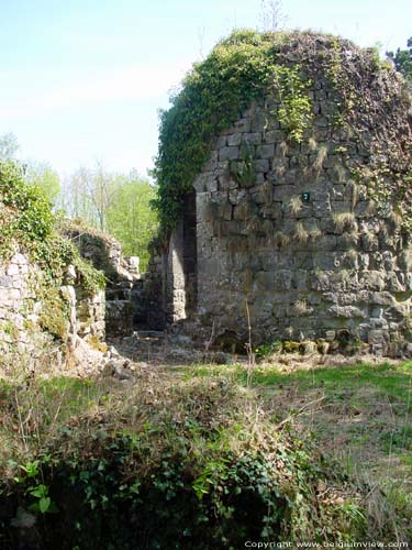 Ruines de Poilvache ( Evrehailles) NAMUR  YVOIR / BELGIQUE 