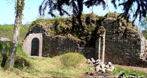 Ruins of Poilvache (in Evrehailles) YVOIR / BELGIUM 