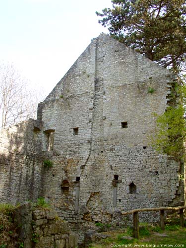 Ruins of Poilvache (in Evrehailles) YVOIR / BELGIUM 