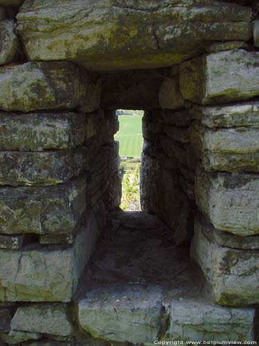 Ruins of Poilvache (in Evrehailles) YVOIR / BELGIUM 