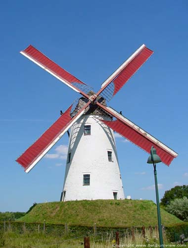 Schellemolen DAMME / BELGI 