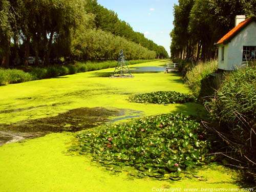 Damse Vaart DAMME foto Uitzicht richting Sluis. De vaart is dichtgegroeid met groene waterplanten en zelfs waterlelies.