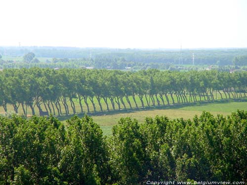 Vue sur avenue DAMME photo 