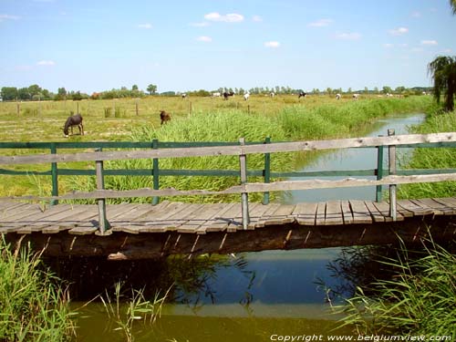 Hoeke canal DAMME / BELGIUM 