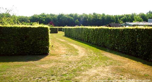 Tillegem park SINT-ANDRIES in BRUGGE / BELGI Volkstuintjes.