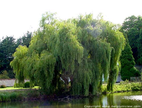 Tillegem park SINT-ANDRIES in BRUGGE / BELGIUM 