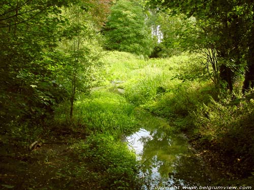 Lapperfortbos BRUGGE / BELGI Natuurlijke waterloop.