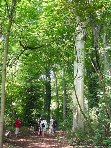 Lapperfortbos BRUGGE foto 