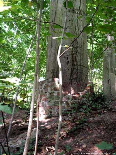 Lappersfort forest BRUGES picture 